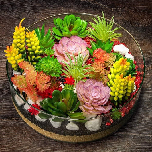 Earth Hopper 70+ Seeds - Beautiful Mixed Cactus Succulents Seeds for Planting, Ornamental Plant Seeds - Grow Indoor & Outdoor Both
