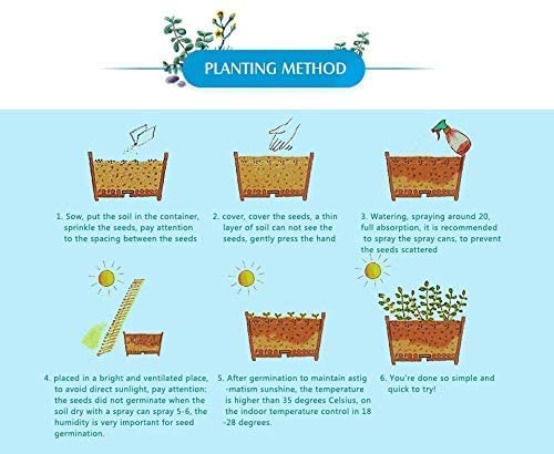 Earth Hopper 100+ Seeds- Marigold African High Yield Hybrid Flower Seeds For Gardening