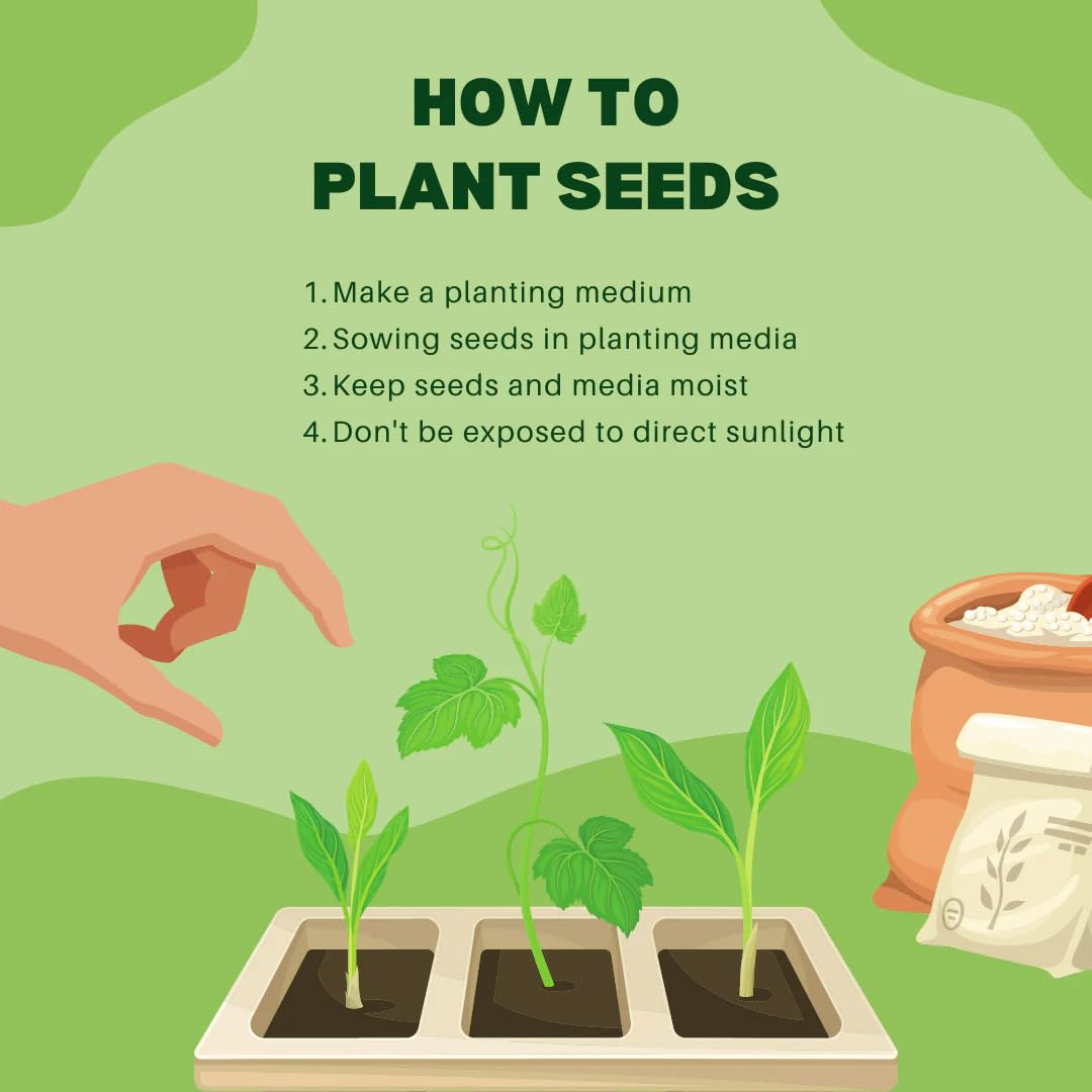 100+ SEEDS- Organic Purple Blue Indigo Rose Tomato Seeds For Planting- Kitchen Garden Pack