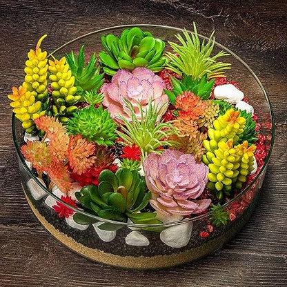 Earth Hopper 50 Seeds Pcs- Rare Beautiful Mixed Succulents Seeds for Planting, DIY Ornamental Plant Seeds - Grow Indoor/Outdoor Both