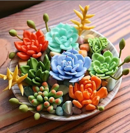 Earth Hopper 50 Seeds Pcs- Rare Beautiful Mixed Succulents Seeds for Planting, DIY Ornamental Plant Seeds - Grow Indoor/Outdoor Both