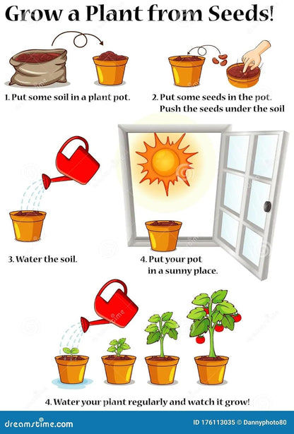 Earth Hopper 35+ SEEDS- Mix Man Orchid Seeds - Unique Human-Shaped Flowers, Grow All-Seasons - Indoor & Outdoor Both.