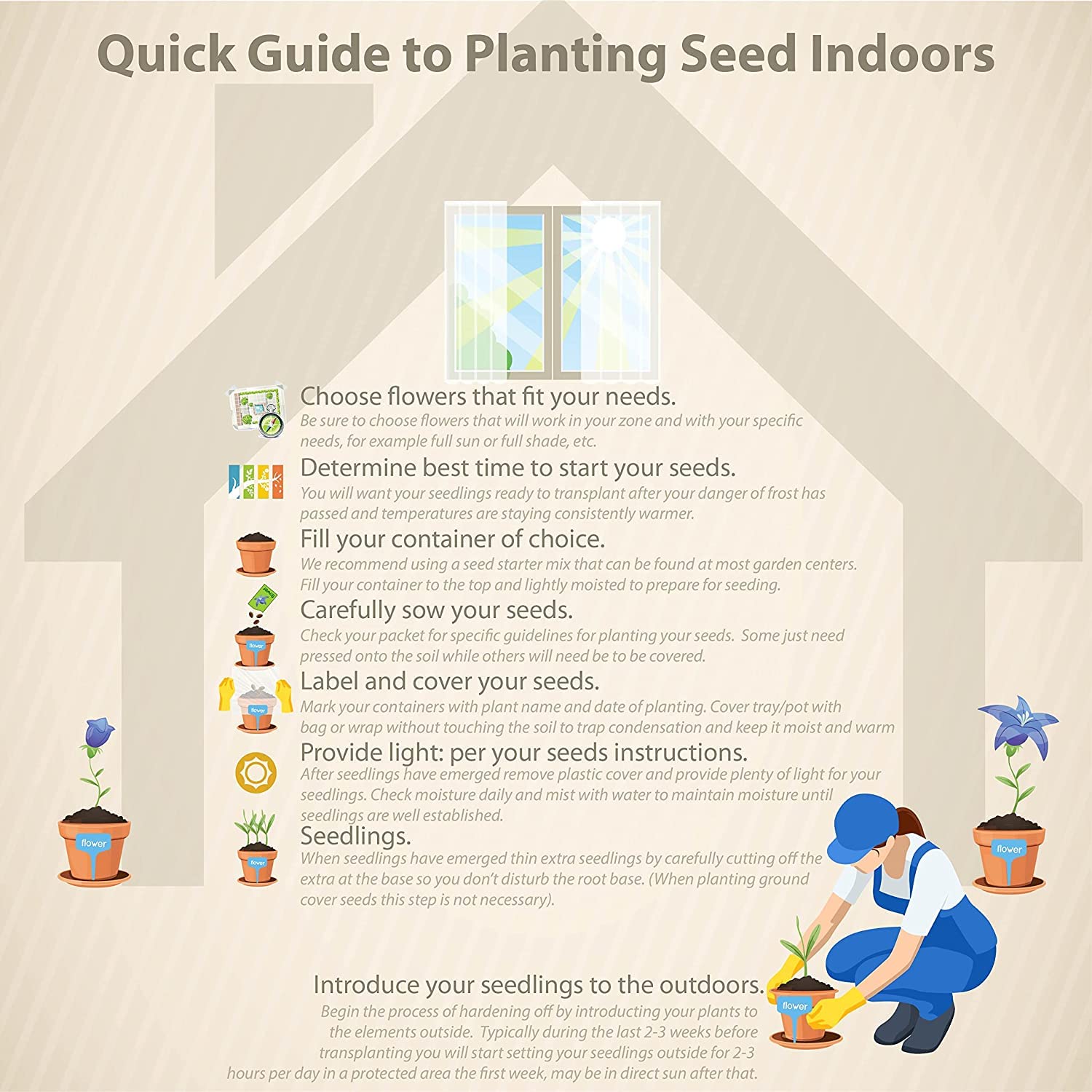 35+ Seeds- Pampas Grass Seeds,Home Garden Decoration Ornamental Grass Seeds（Purple）