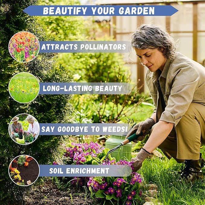 50 Seeds Ranunculus Flower Mix Colors Pack for Gardening, Low Maintenance, Air Purifying, Grow All Seasons