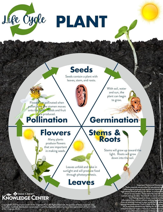 5 KG- Multi Purpose Organic Garden Soil- Weed Free