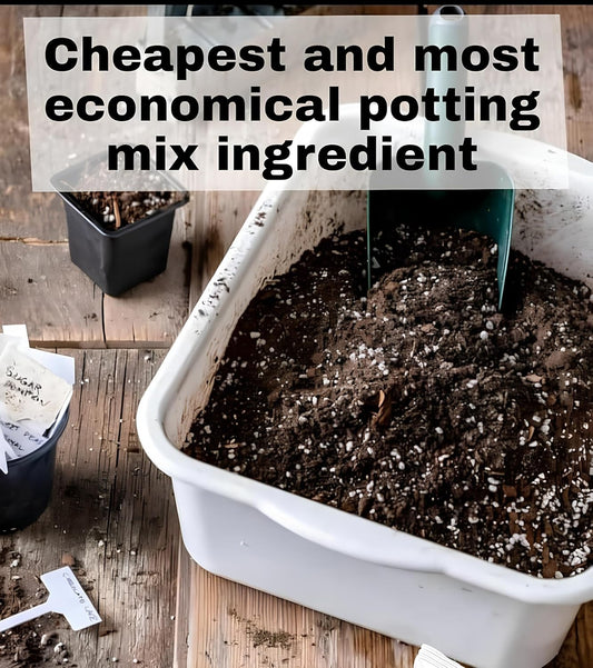 Sand (Ret) for Home Gardening | Potting Mix | Aeration and Drainage for Plant Roots (Ret, 1.9, Kilogram(s))